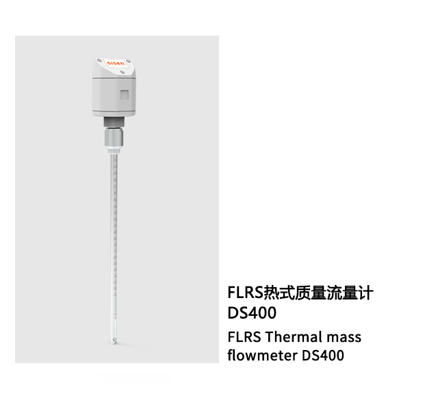 熱式質(zhì)量流量計DS400