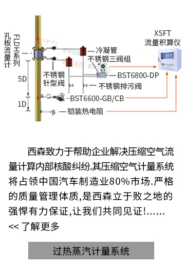 過(guò)熱蒸汽計(jì)量系統(tǒng)