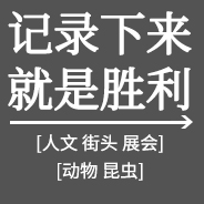 記錄下來就是勝利 團(tuán)隊(duì)展示11