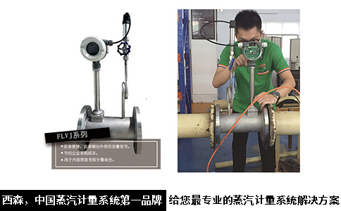 西森中國蒸汽計(jì)量系統(tǒng).jpg