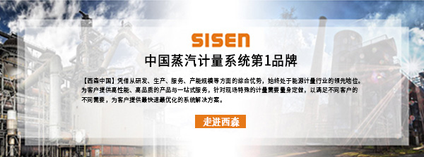 中國蒸汽計量系統(tǒng)第1品牌.jpg